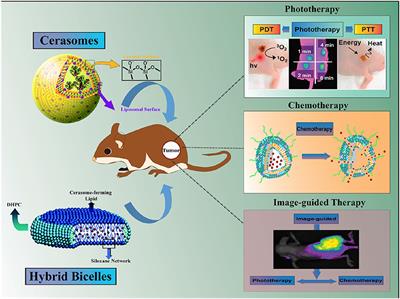 Cerasomes and Bicelles: Hybrid Bilayered Nanostructures With Silica-Like Surface in Cancer Theranostics